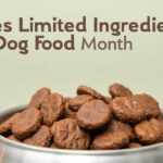 Does limited ingredient dog food help?