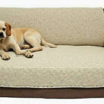Durable Dog Couch Covers: Protect Your Furniture