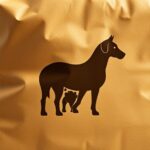 Nourish your gentle giant with Gentle Giants dog food, crafted to support your pup's health and wellbeing.