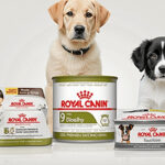 Veterinary Prescription Diet: Royal Canin for Pets